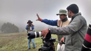 Read more about the article Elevating Your Design Projects with High-Quality Indian Video Stock Footage: Tips and Tricks